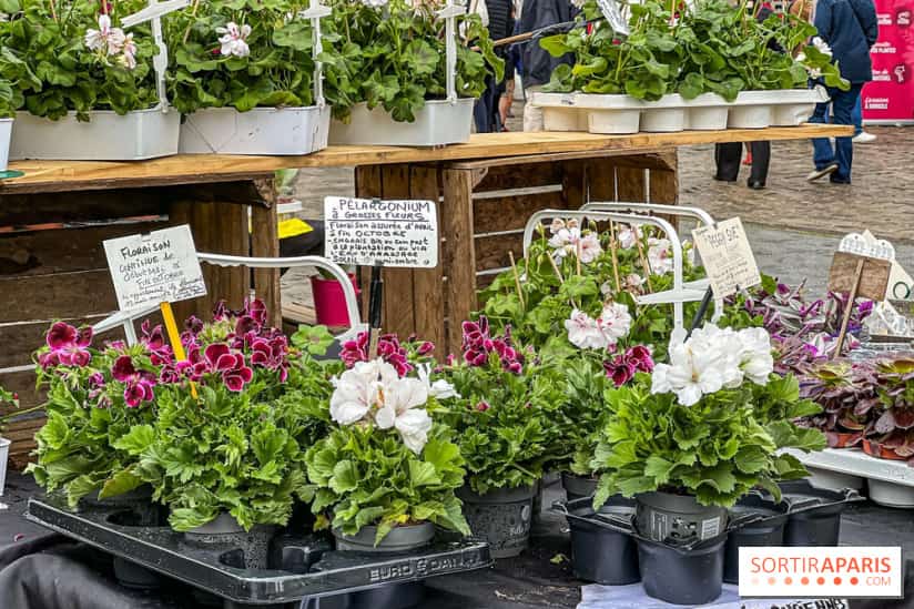 Skrytá Paříž: Nejzajímavější netradiční místa a akce pro jaro 2025